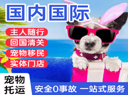 柳州空运国际宠物托运 【国